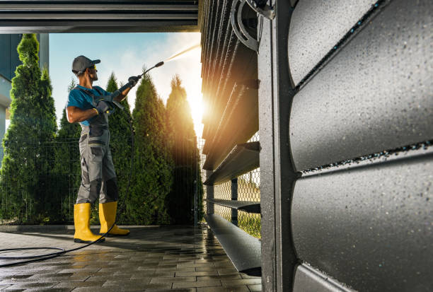 Best Sidewalk and Walkway Cleaning  in Brownsville, LA